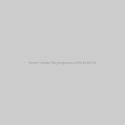 Human Lactate Dehydrogenase (LDH) ELISA Kit